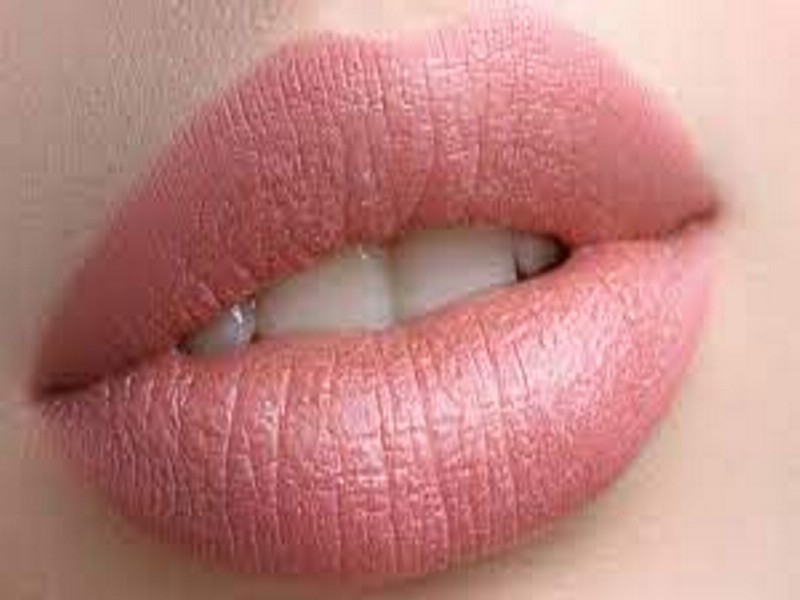 MicroLabios-800x600-06
